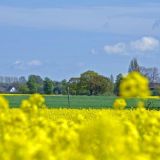 x0118 von Jochen Ruser